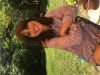 Moran's picture